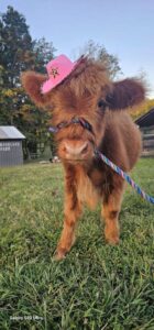 lola with a hat 2024