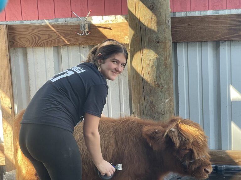 waterside ranch addison and lola