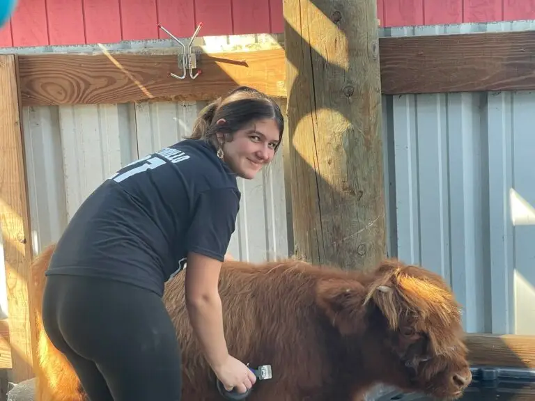 waterside ranch addison and lola