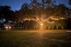 The Waterside Ranch Cinderella Tree
