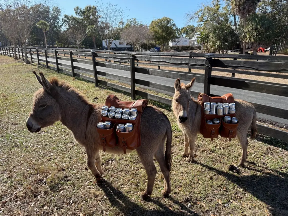 The Waterside Ranch - Beer Donkeys - The Waterside Ranch The Waterside Ranch - Beer Donkeys