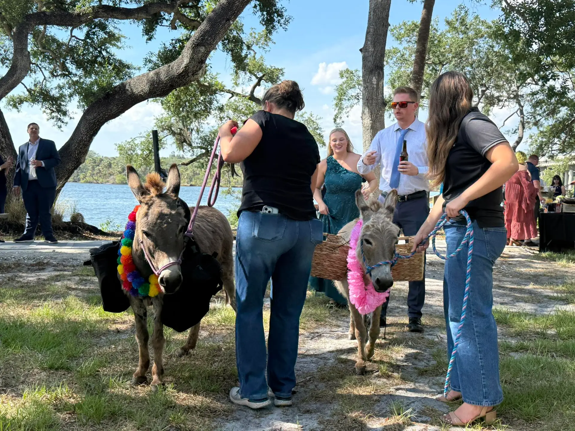The Waterside Ranch Beer Donkeys