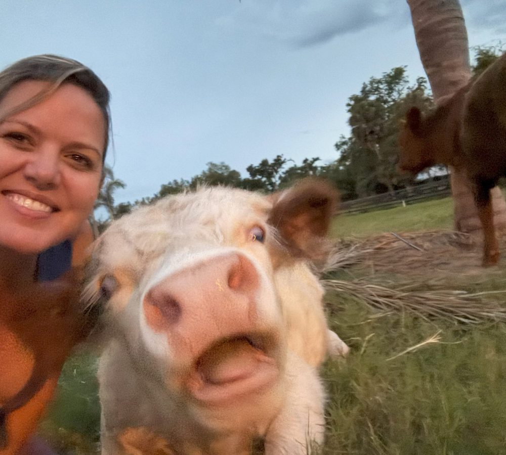 Angie and Maverick Highland Cattle Meetup